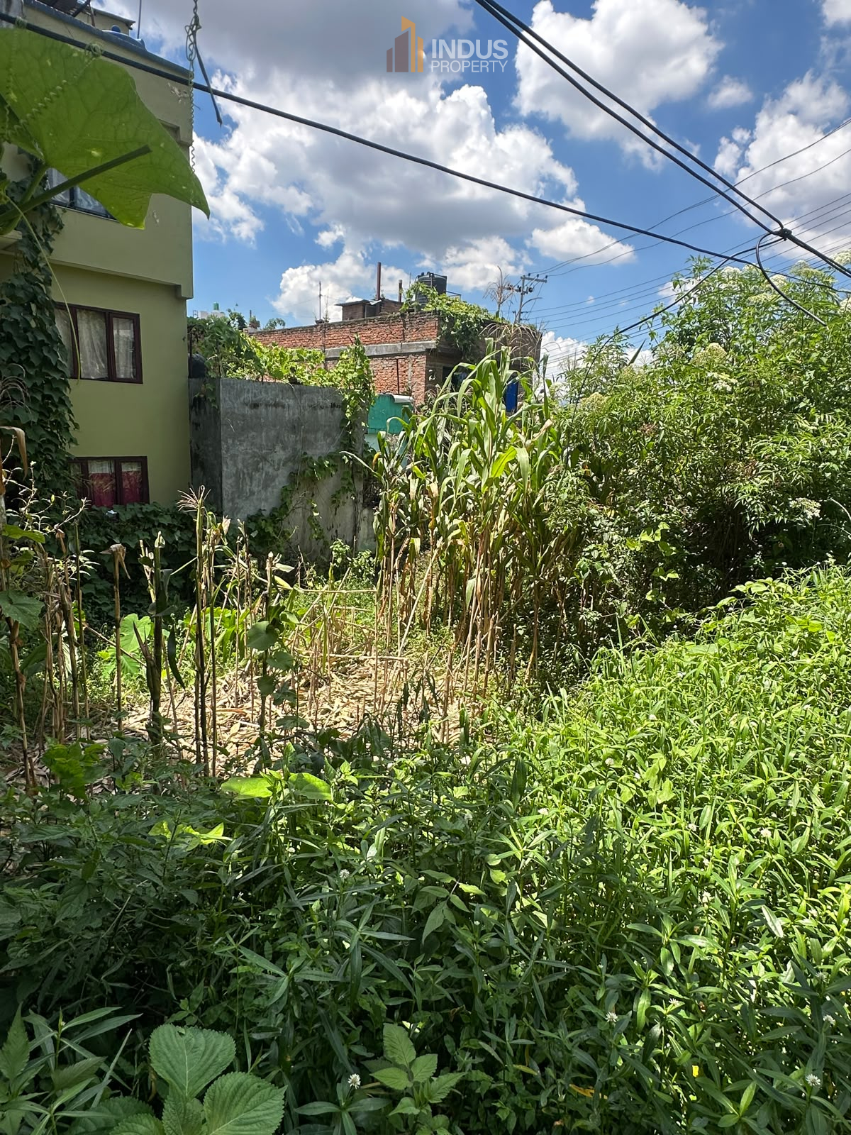 property-image